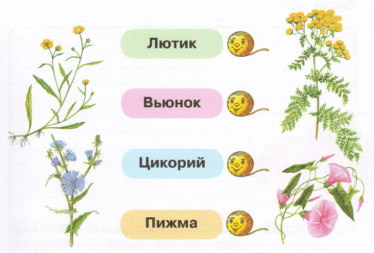 Задание рисунок 1