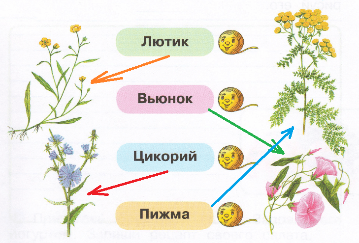 Решение рисунок 1