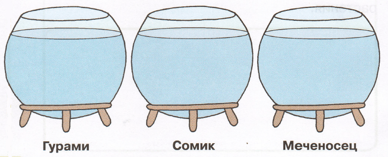 Задание рисунок 1
