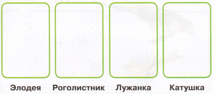 Задание рисунок 1