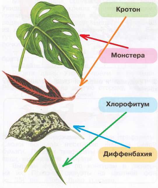 Решение рисунок 1