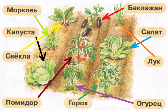 Решение рисунок 1