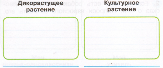 Задание рисунок 1