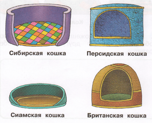 Задание рисунок 1