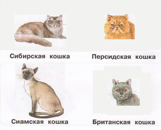 Решение рисунок 1