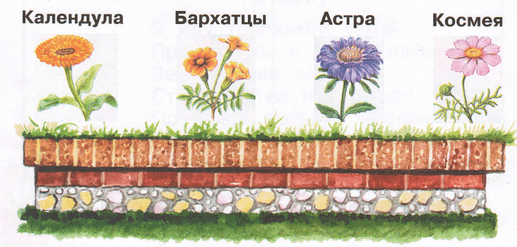 Решение рисунок 1