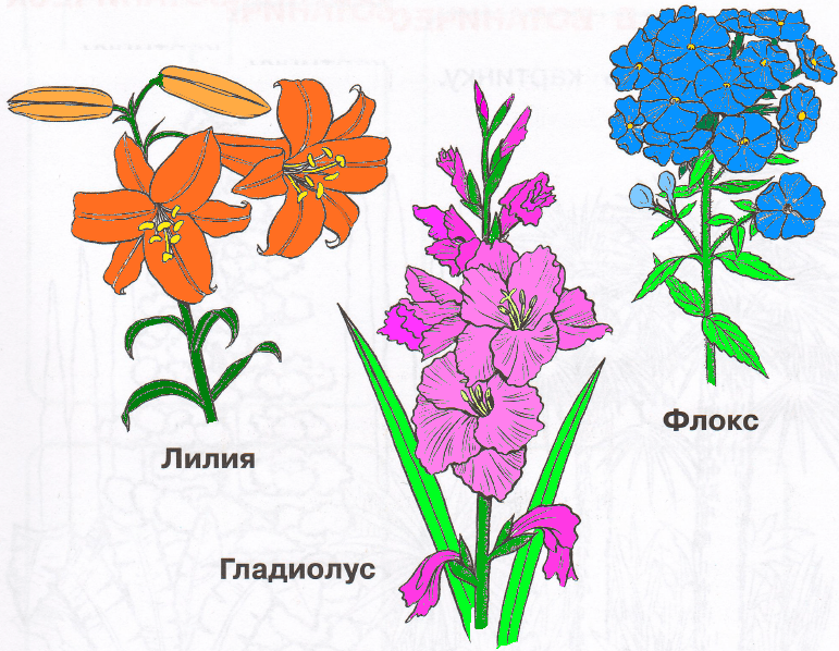Решение рисунок 1