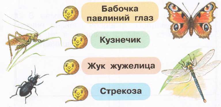 Задание рисунок 1