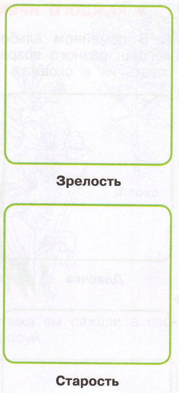 Задание рисунок 2