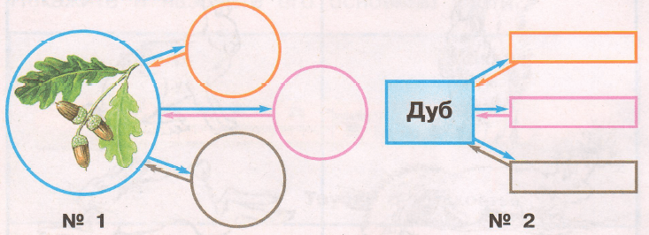 Задание рисунок 1