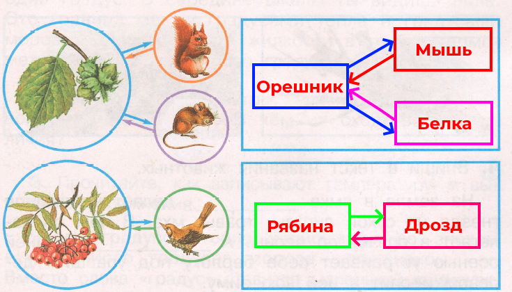Решение рисунок 1