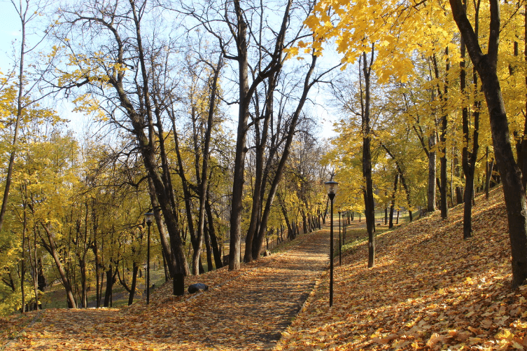 Решение рисунок 1