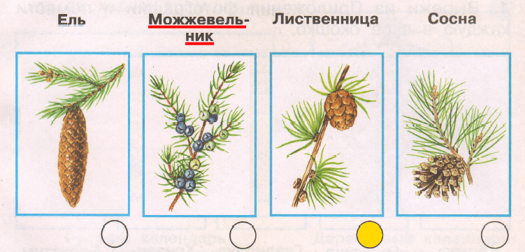 Решение рисунок 1