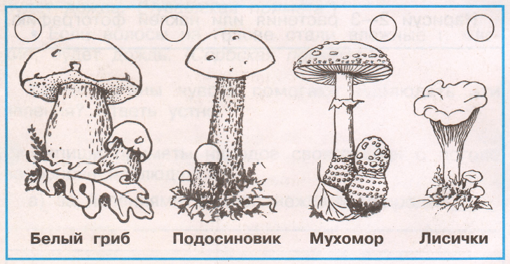 Задание рисунок 1