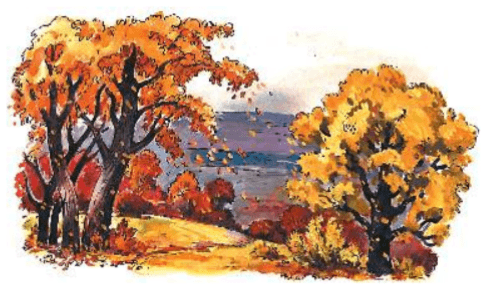 Задание рисунок 1