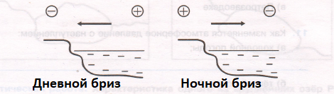 Решение рисунок 1