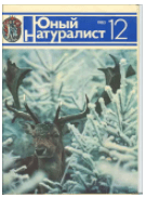 Решение рисунок 3