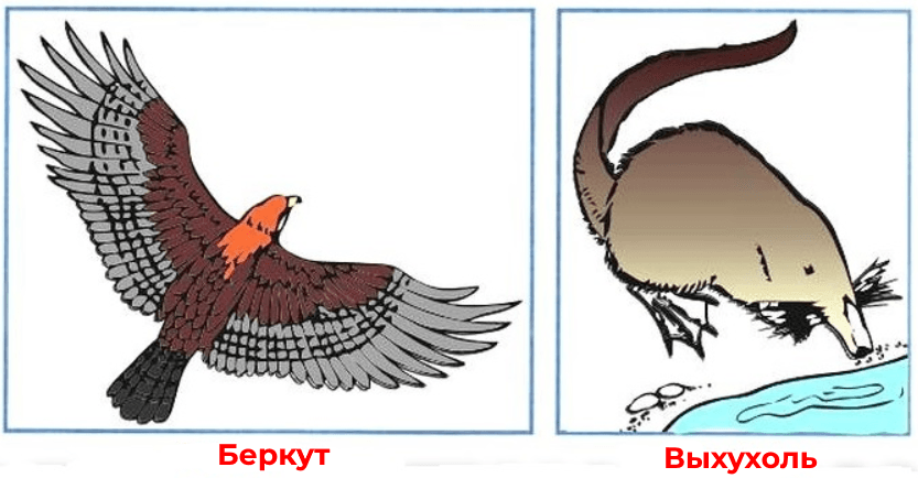 Решение рисунок 1