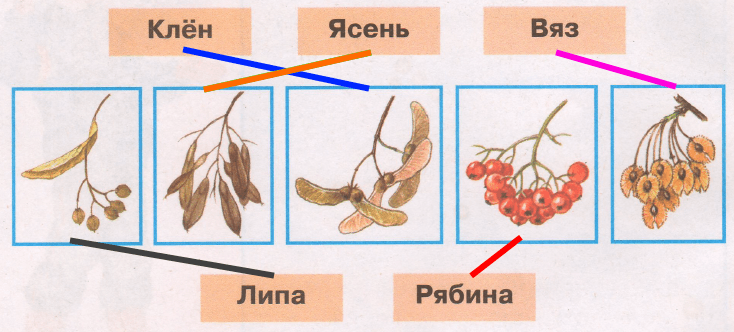 Решение рисунок 1