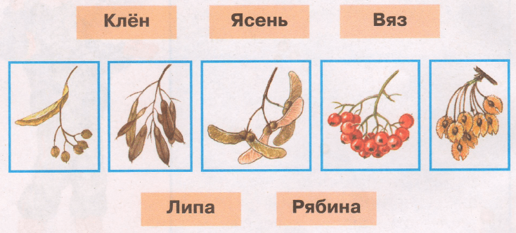 Задание рисунок 1