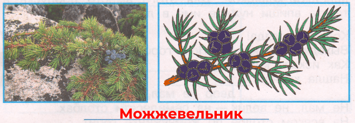 Решение рисунок 1