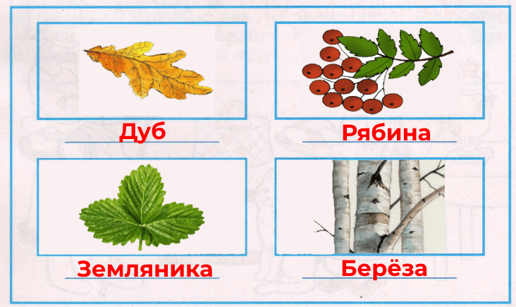 Решение рисунок 1