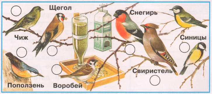 Задание рисунок 1