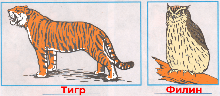 Решение рисунок 1