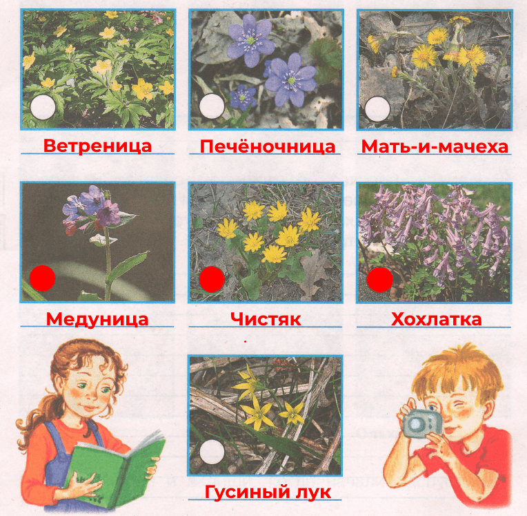 Решение рисунок 1