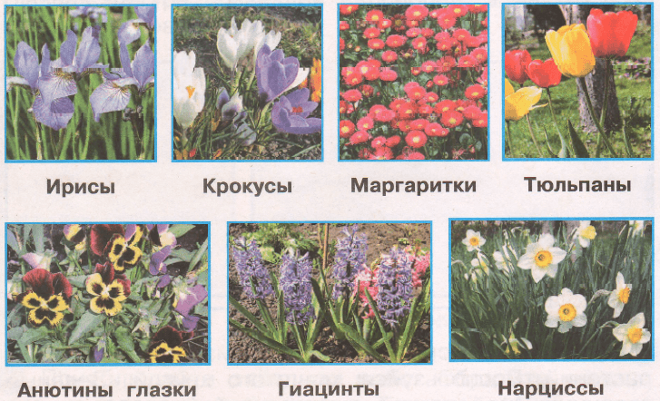 Решение рисунок 1