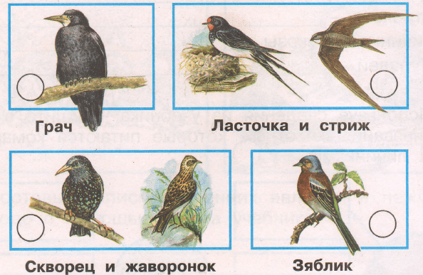 Задание рисунок 1