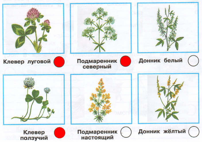 Решение рисунок 1