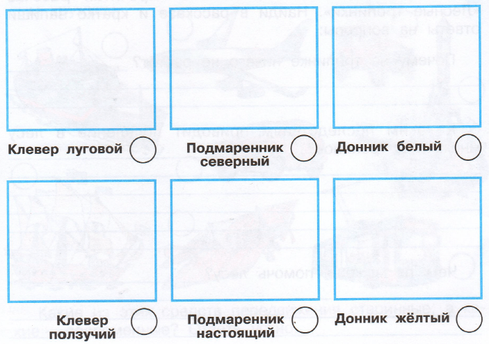 Задание рисунок 1