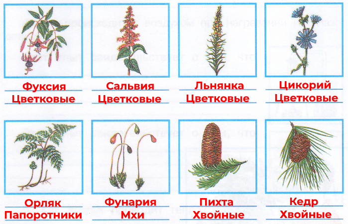 Решение рисунок 1