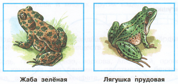 Задание рисунок 1