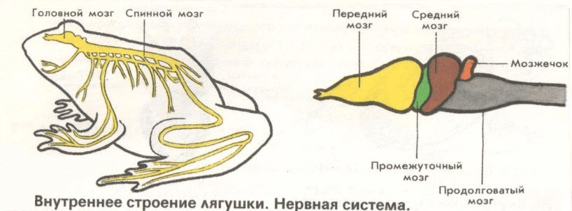 Решение рисунок 3