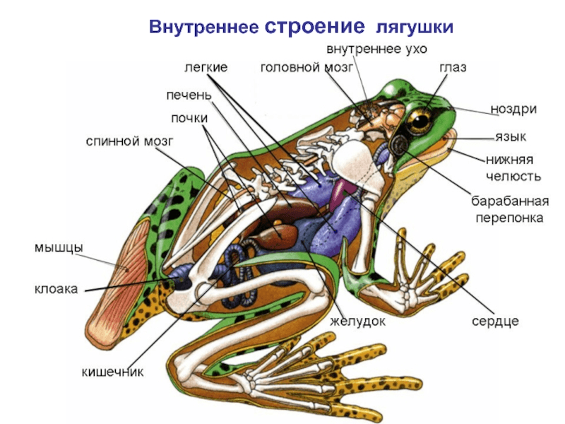 Решение рисунок 2