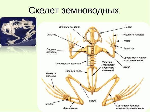 Решение рисунок 1