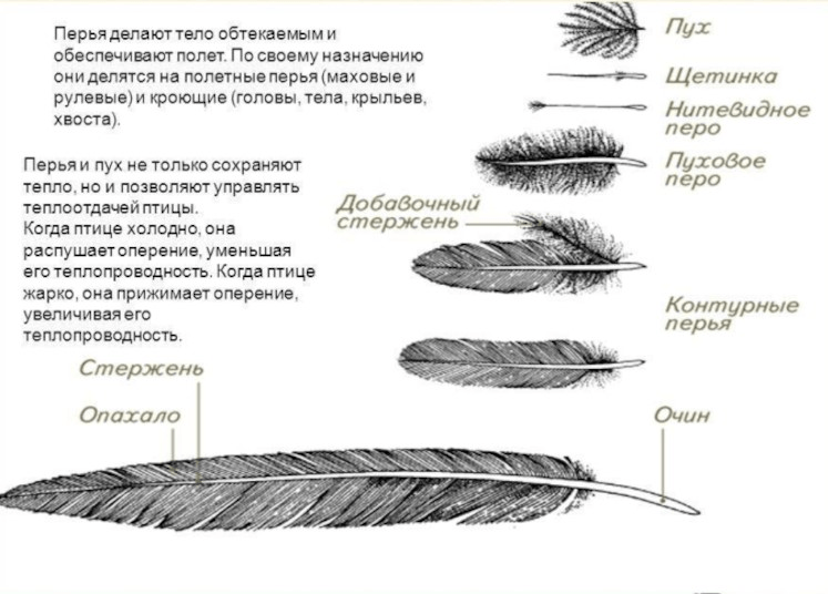 Решение рисунок 2