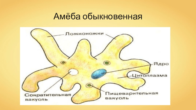 Решение рисунок 1