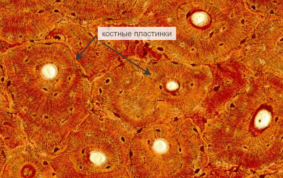 Решение рисунок 2