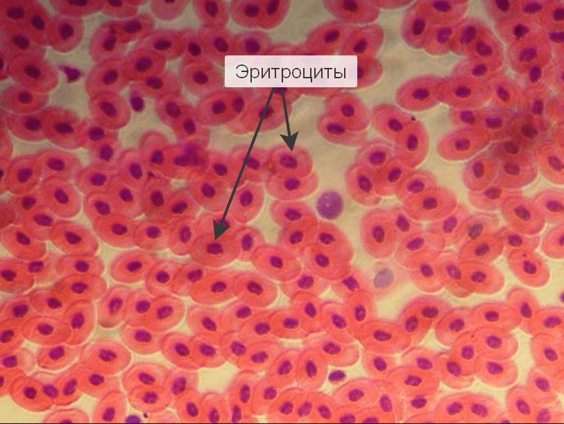 Решение рисунок 3