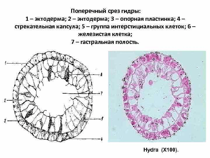 Решение рисунок 2