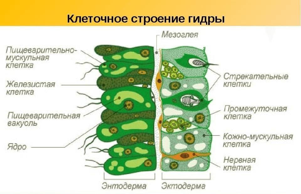 Решение рисунок 3