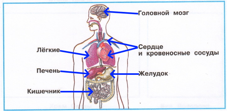 Решение рисунок 1