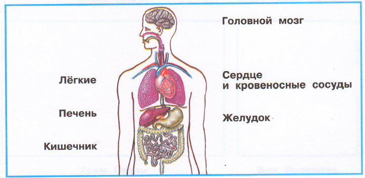 Задание рисунок 1