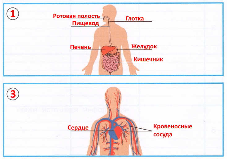 Решение рисунок 3