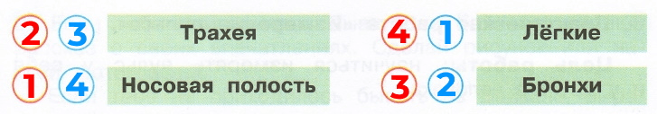 Решение рисунок 1