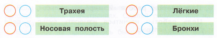 Задание рисунок 1