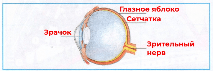Решение рисунок 1